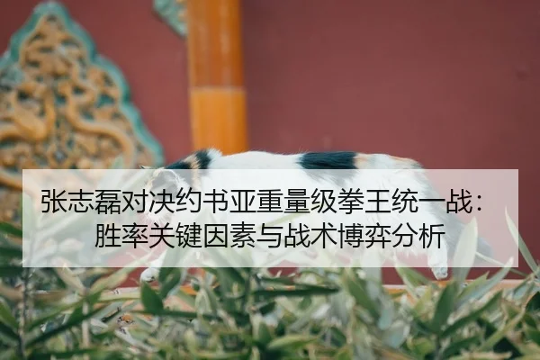张志磊对决约书亚重量级拳王统一战：胜率关键因素与战术博弈分析