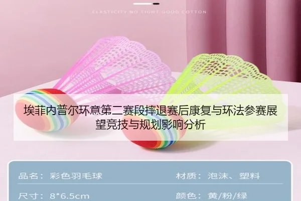 埃菲内普尔环意第二赛段摔退赛后康复与环法参赛展望竞技与规划影响分析