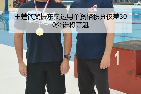 王楚钦樊振东奥运男单资格积分仅差300分谁将夺魁