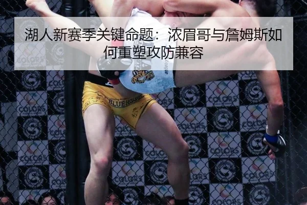 湖人新赛季关键命题：浓眉哥与詹姆斯如何重塑攻防兼容
