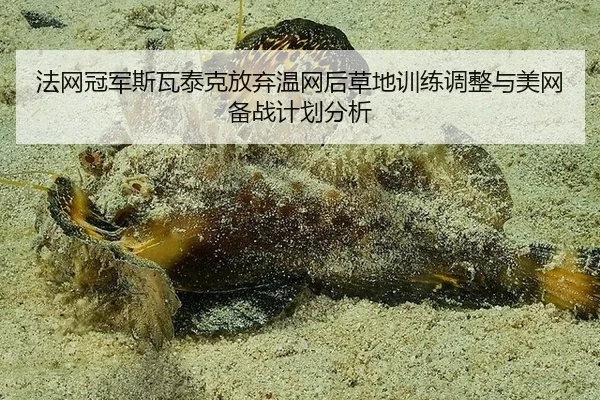 fa-wang-guan-jun-si-wa-tai-ke-fang-qi-wen-wang-hou-cao-di-xun-lian-tiao-zheng-yu-mei-wang-bei-zhan-ji-hua-fen-xi-3-575.jpg
